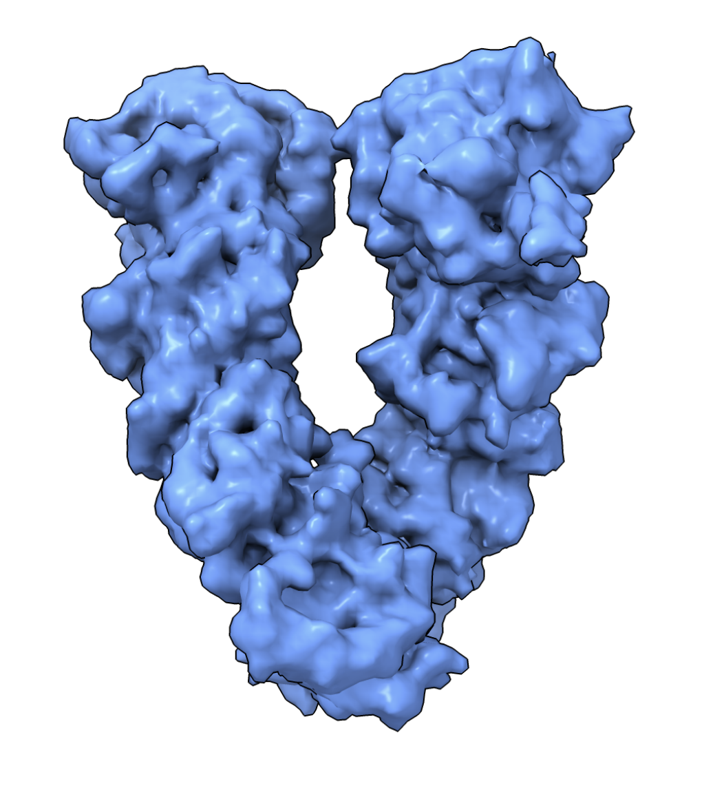 Improving Ab-Initio Cryo-EM Reconstruction with Semi-Amortized Pose Inference